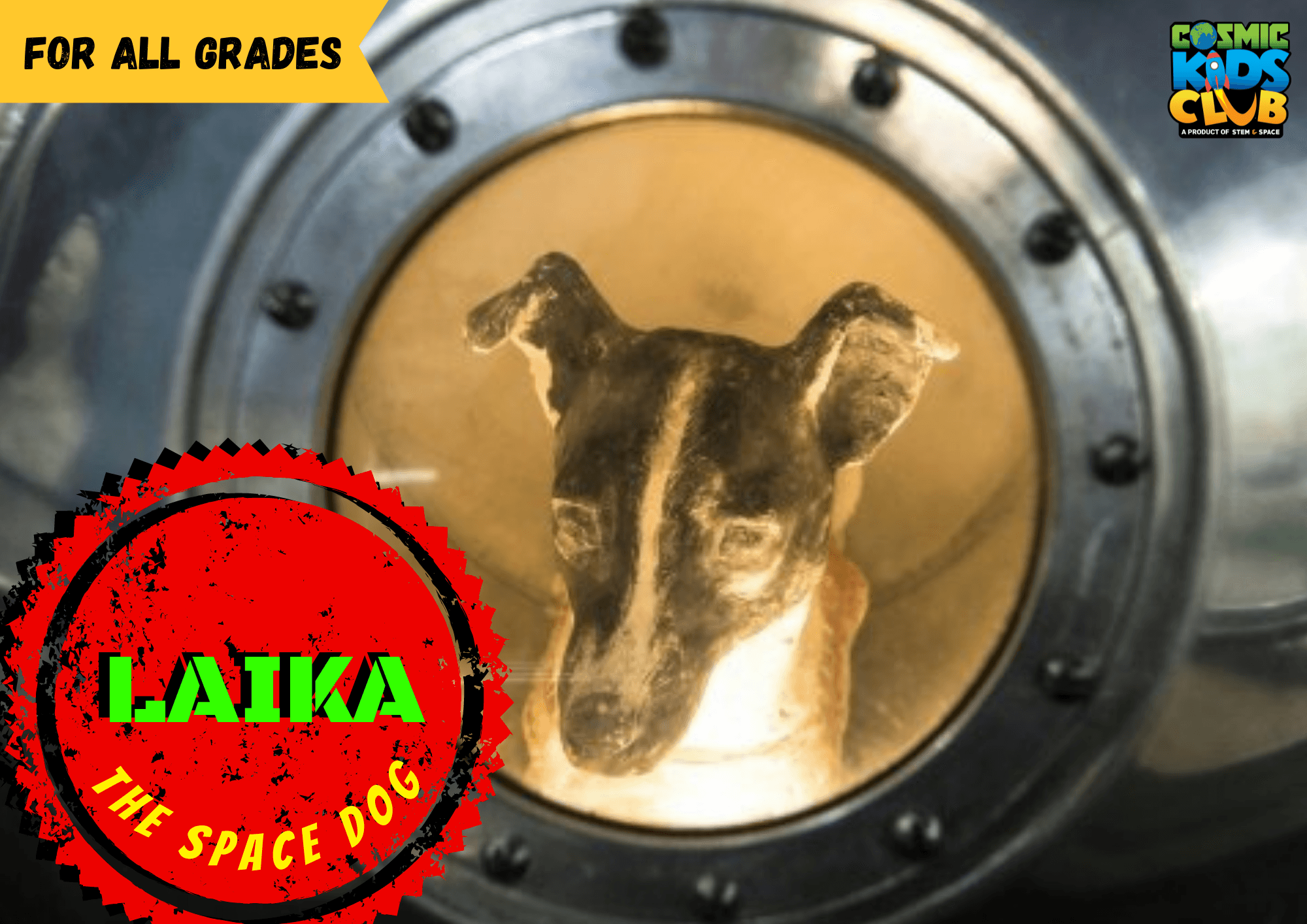 Laika - The Space Dog